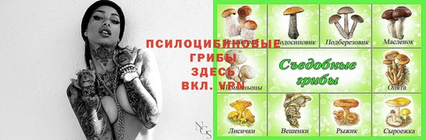 Альфа ПВП Горно-Алтайск