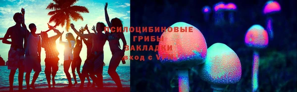 гашик Горняк