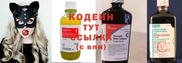 гашик Горняк