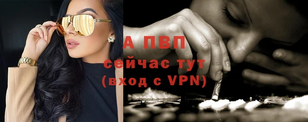 Альфа ПВП Горно-Алтайск