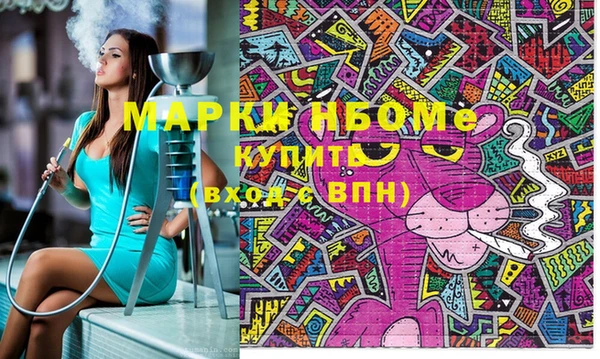гашик Горняк