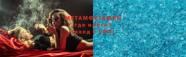 индика Вяземский