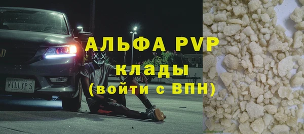 гашик Горняк