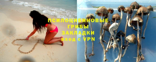гашик Горняк