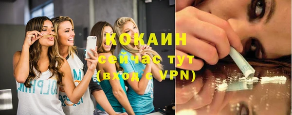 гашик Горняк